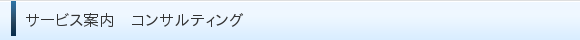 サービス案内 コンサルティング